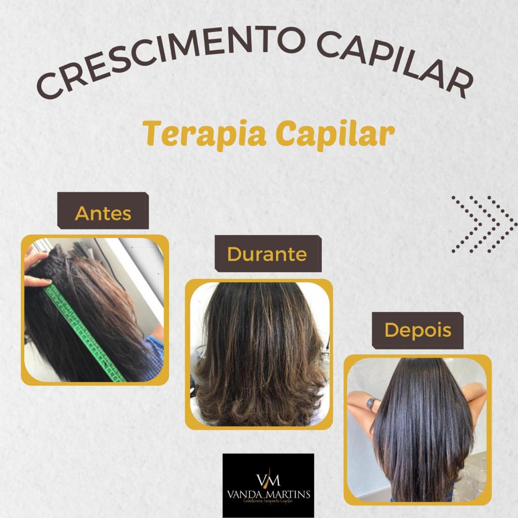 premium-themes-templates