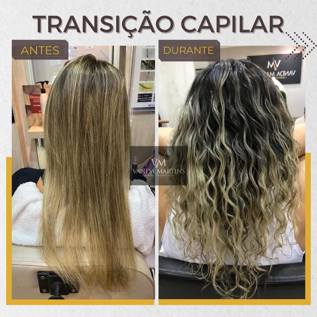 premium-themes-templates