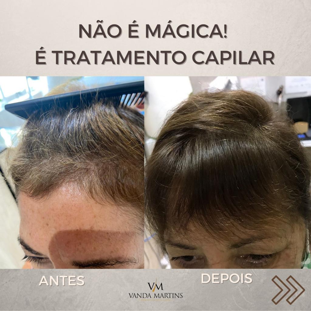 premium-themes-templates