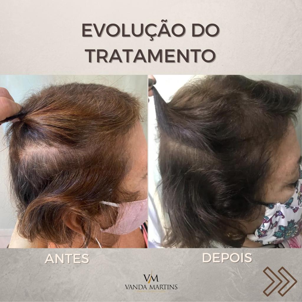 premium-themes-templates