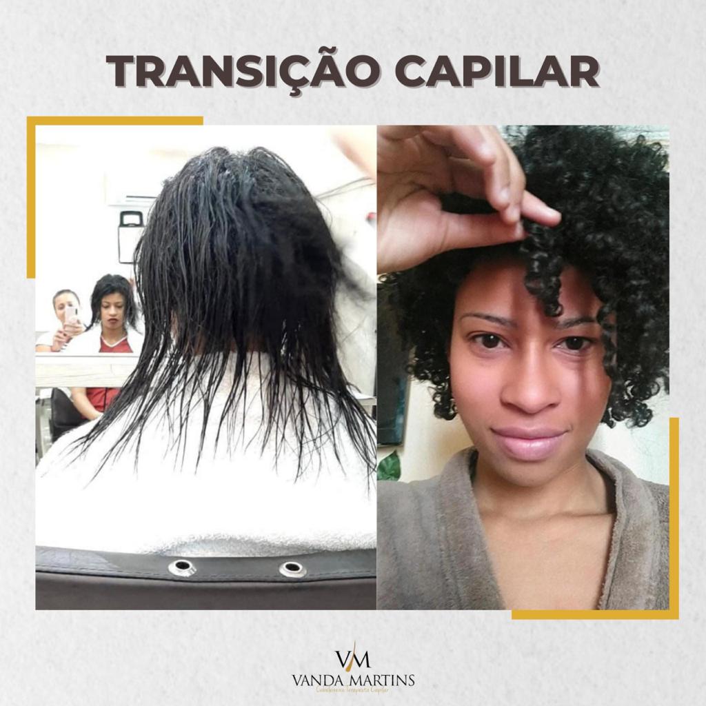 premium-themes-templates