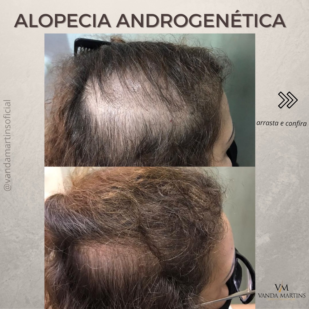 premium-themes-templates