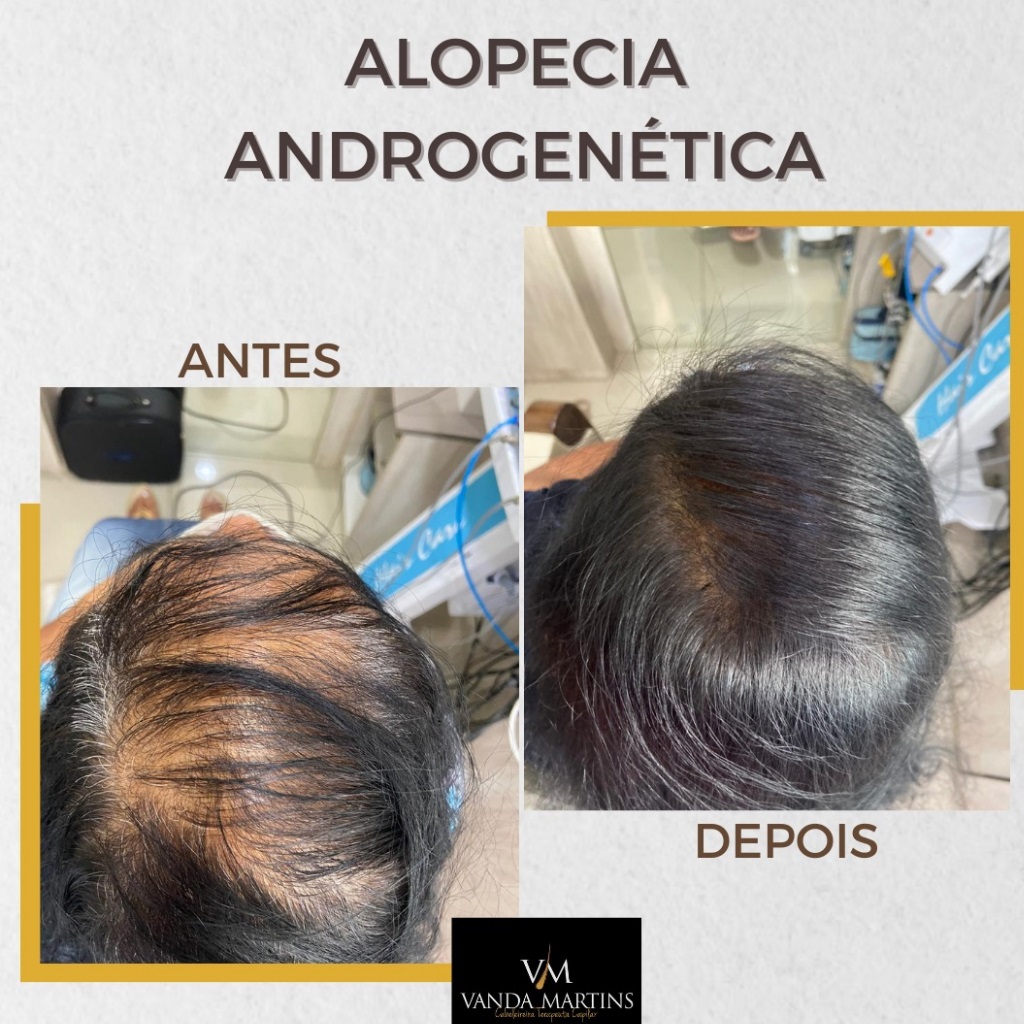 premium-themes-templates