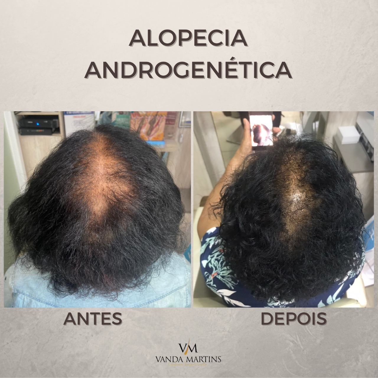 premium-themes-templates