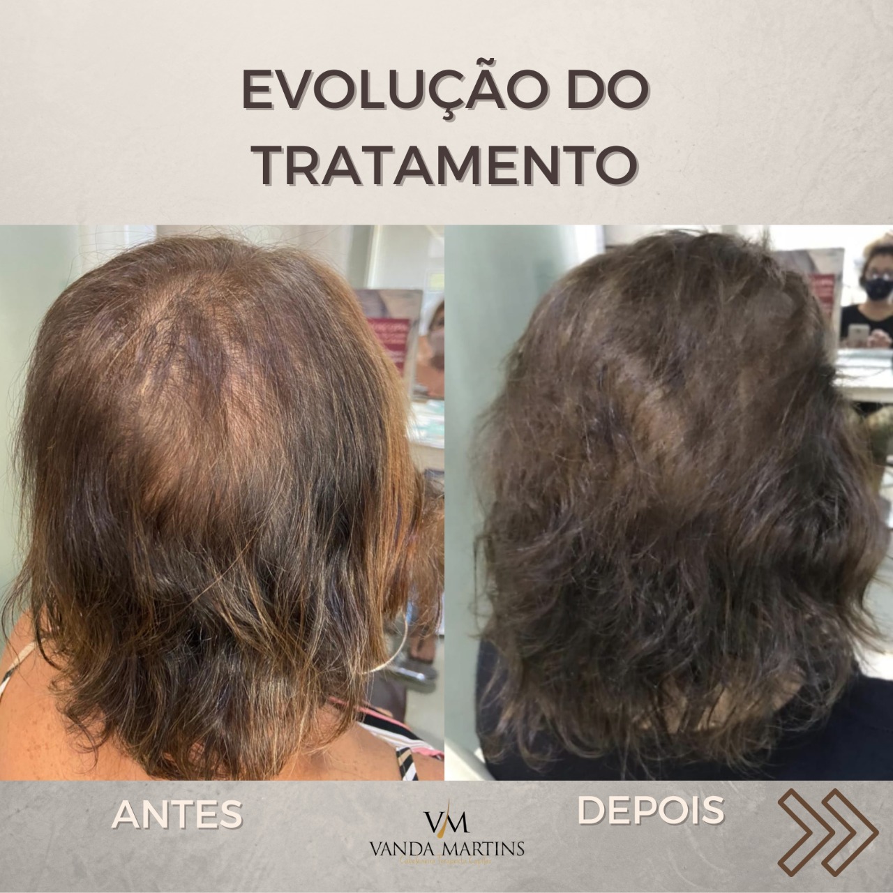 premium-themes-templates